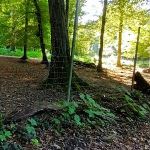 Hog Deer and Blackbuck Enclosure
