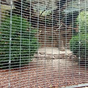 Eurasian eagle Owl Aviary