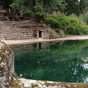 Magellanic Penguin Enclosure
