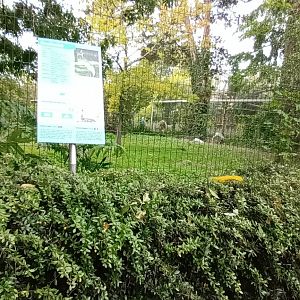 Indian sarus Crane Enclosure