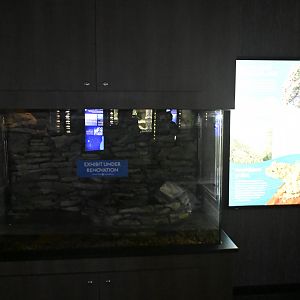 Rivers of the World - Empty Vietnamese Mossy Frog exhibit