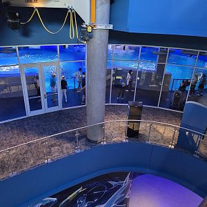 View into Florida's Gulf Tank Overlook