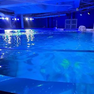 Florida's Gulf Tank - overlook