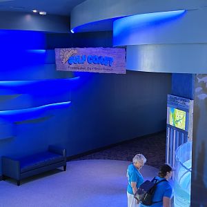 Florida's Gulf Coast