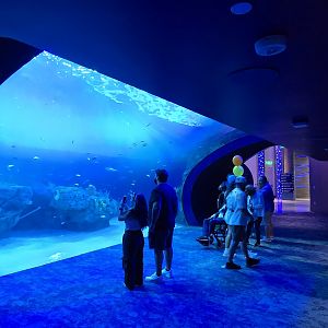 Florida's Gulf Coast - Gulf Tank