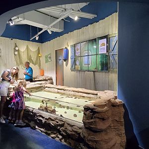 Florida's Gulf Coast -