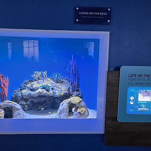 Second Floor - Reef's Edge