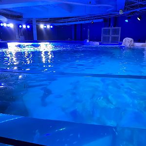 Florida's Gulf Coast - Gulf Tank overlook