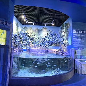 Florida's Gulf Coast - entrance tank