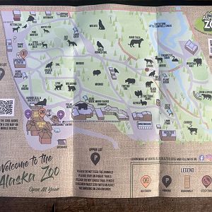 Updated zoo map showing the Pine Marten, the return of Wolves, and the expansion of the Musk Ox habitat.
