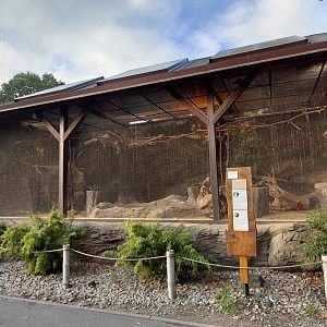 Parakeet + pheasant exhibit