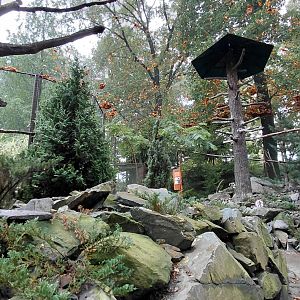 Himalayan walkthrough aviary
