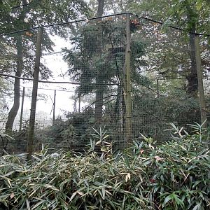 Tibetan Plateau aviary