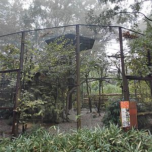 Yunnan forest aviary