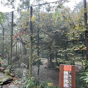 Yunnan forest aviary