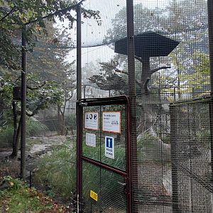 Chinese lowlands walkthrough aviary