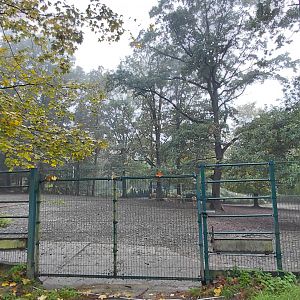 Père David's deer exhibit