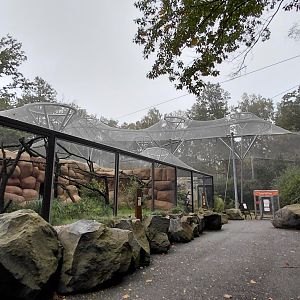 South America complex