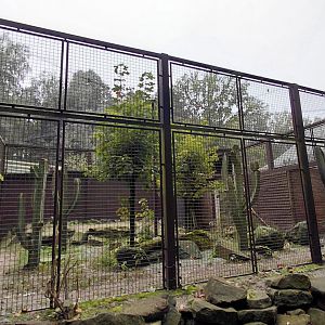 Red-legged seriema exhibit