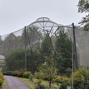 La Pampa - walkthrough aviary