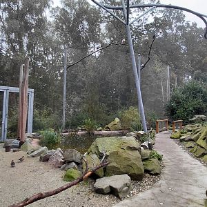 La Pampa - walkthrough aviary