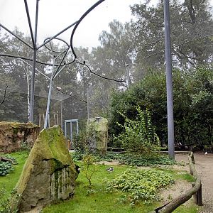 La Pampa - walkthrough aviary