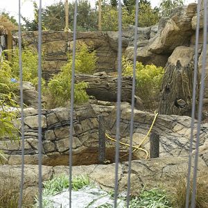 Asia Exhibit (not finished)