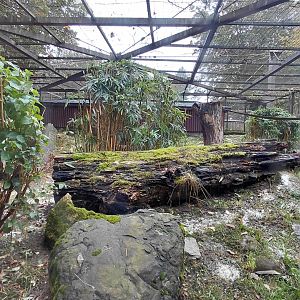 Former clouded leopard exhibit