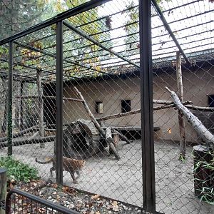 Leopard outdoor cage