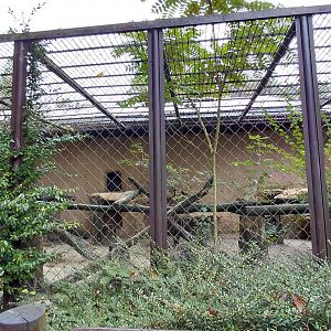 Leopard outdoor cage