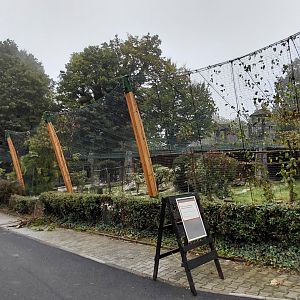 Empty raptor aviaries