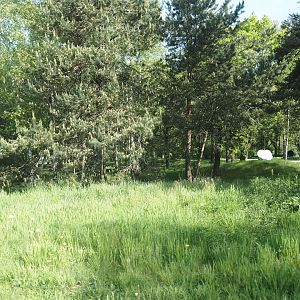 Now gone cheetah drive-through on the car safari, 2025-04-30