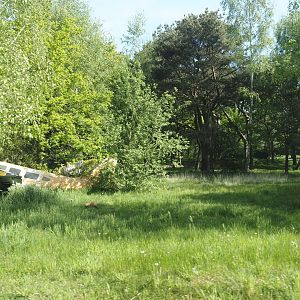 Now gone cheetah drive-through on the car safari, 2025-04-30