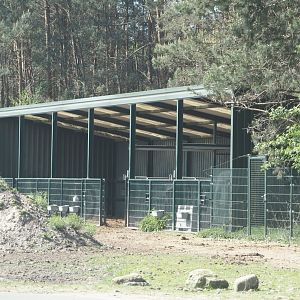 Holding and shelter for Bactrian camels and Przewalski's horses, 2025-04-30
