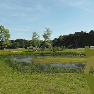 Car safari - Oasis in desert exhibit, 2025-04-30