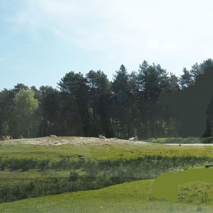 Car safari - Oasis in desert exhibit, 2025-04-30