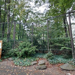 Eurasian eagle-owl aviary