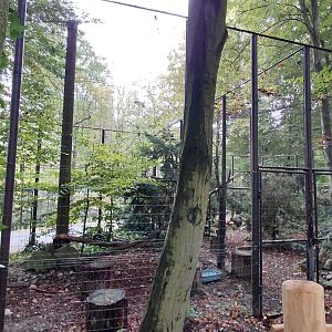 Eurasian eagle-owl aviary