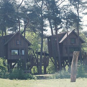 Safari Resort tree houses, 2025-04-30