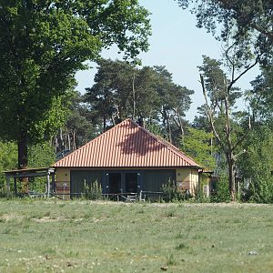 Safari Resort bungalow, 2025-04-30