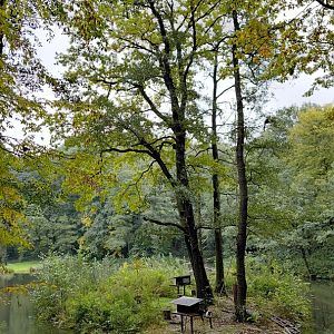 Ruffed lemur exhibit