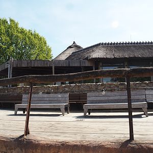 Restaurant building near the gorilla island, 2025-04-30