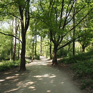 Walkway heading towards the black rhinos, 2025-04-30