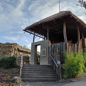 Vadtha ni - Temple of gibbons