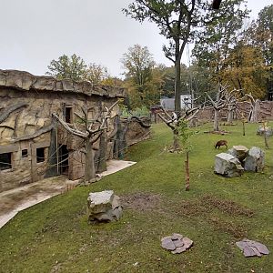 Vadtha ni - Gibbon exhibit