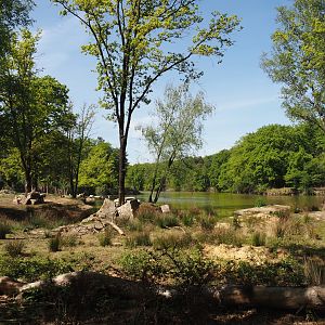 Black rhinoceros exhibit, 2025-04-30
