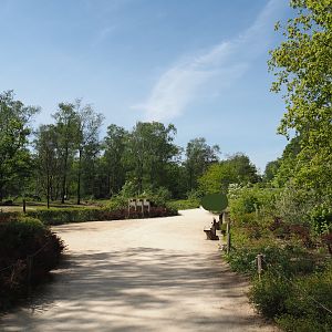 Walkway with viewing area for mixed savanna exhibit, 2025-04-30