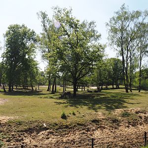 Multi-hectare mixed savanna exhibit, seen from the walking safari, 2025-04-30
