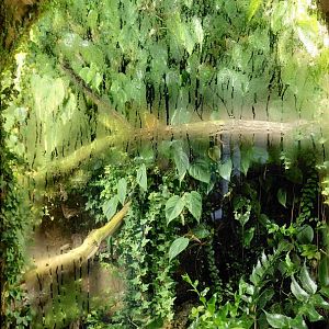 Vadtha ni - Terrarium