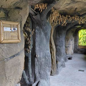 Vadtha ni - additional exhibits